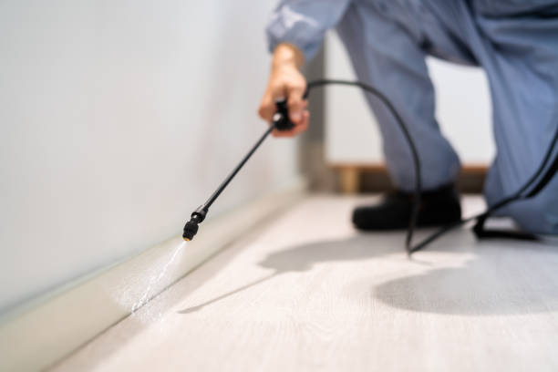 Licensed Exterminator service in Romeoville, IL - Show Me Pest Control